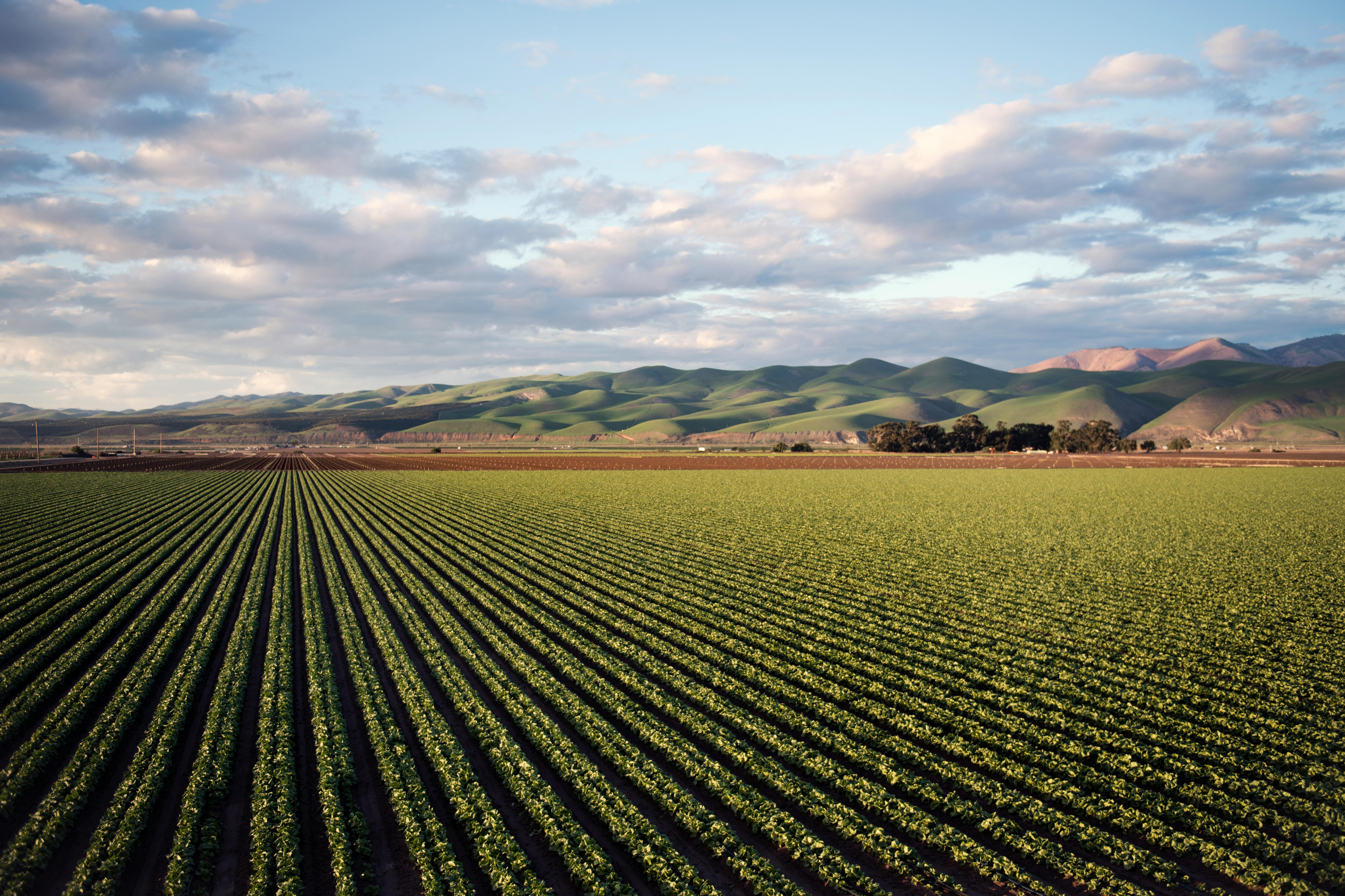 Agricultural